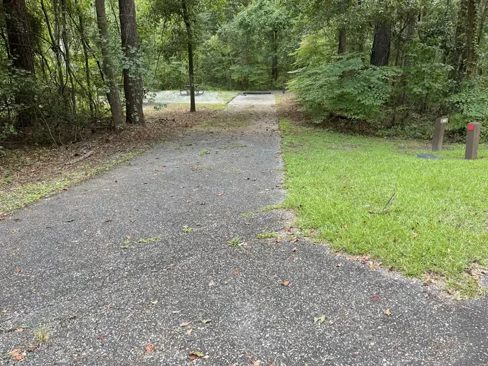 101