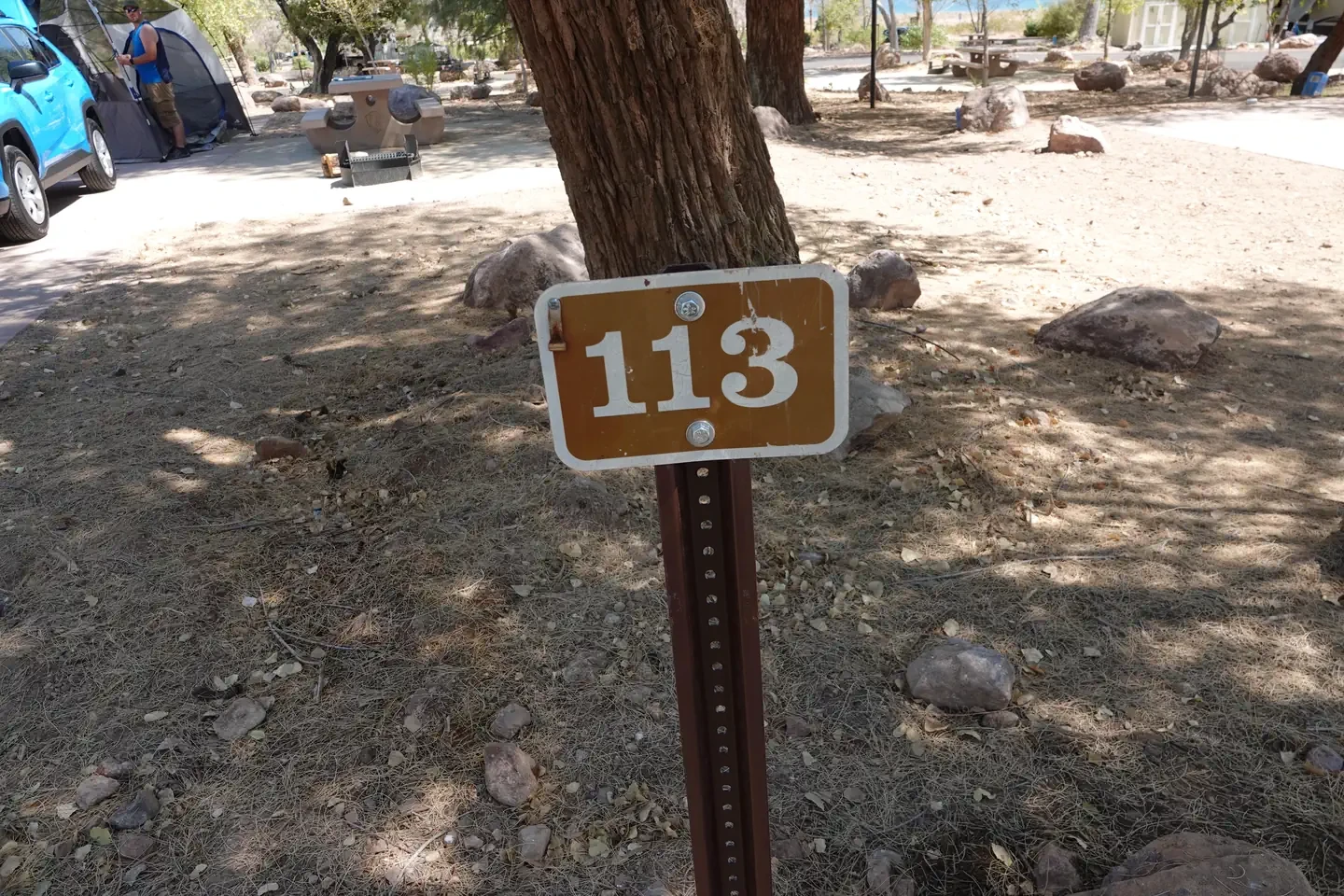 Site 113