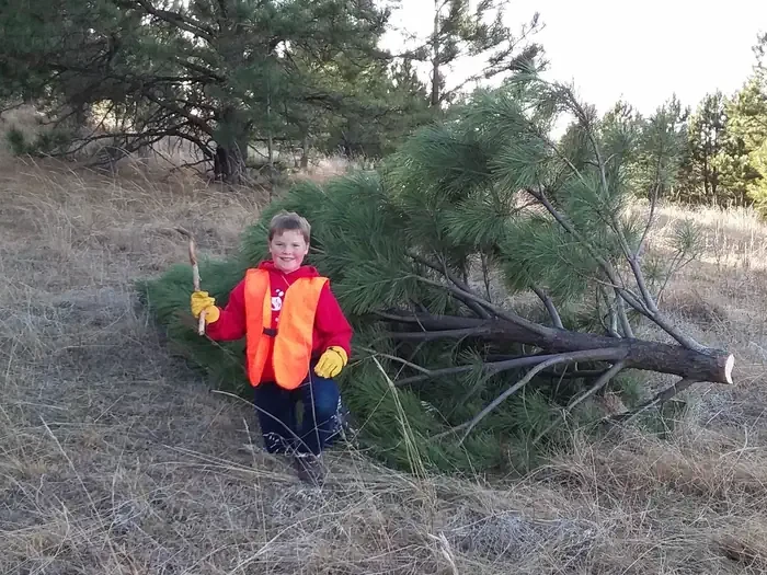 Nebraska National Forests and Grasslands Christmas Tree Permit