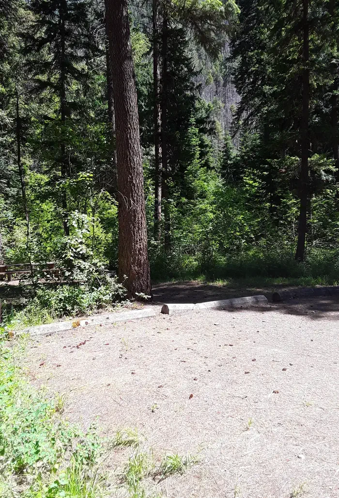 Trout Creek Campground (MT)