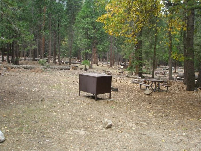 Site: 61