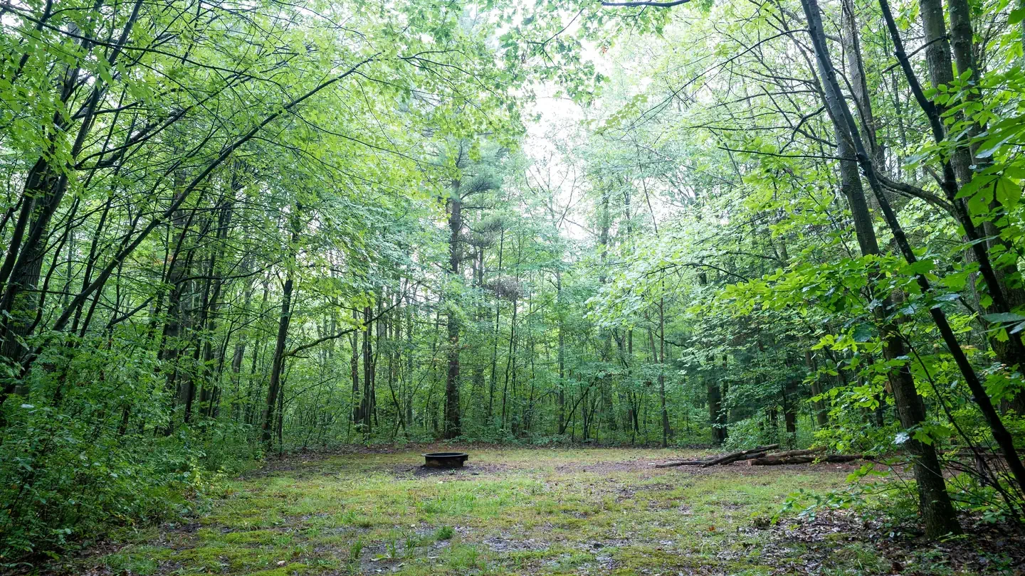 Potomac Group Campground