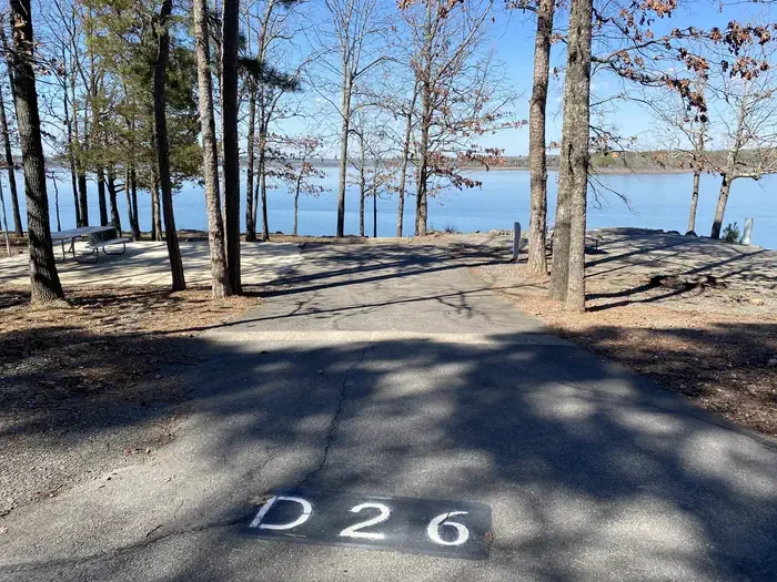 D26