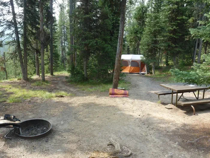 Lewis Lake site #49