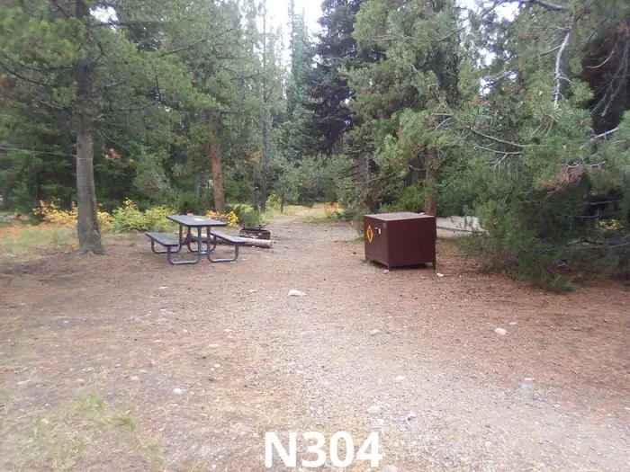 304