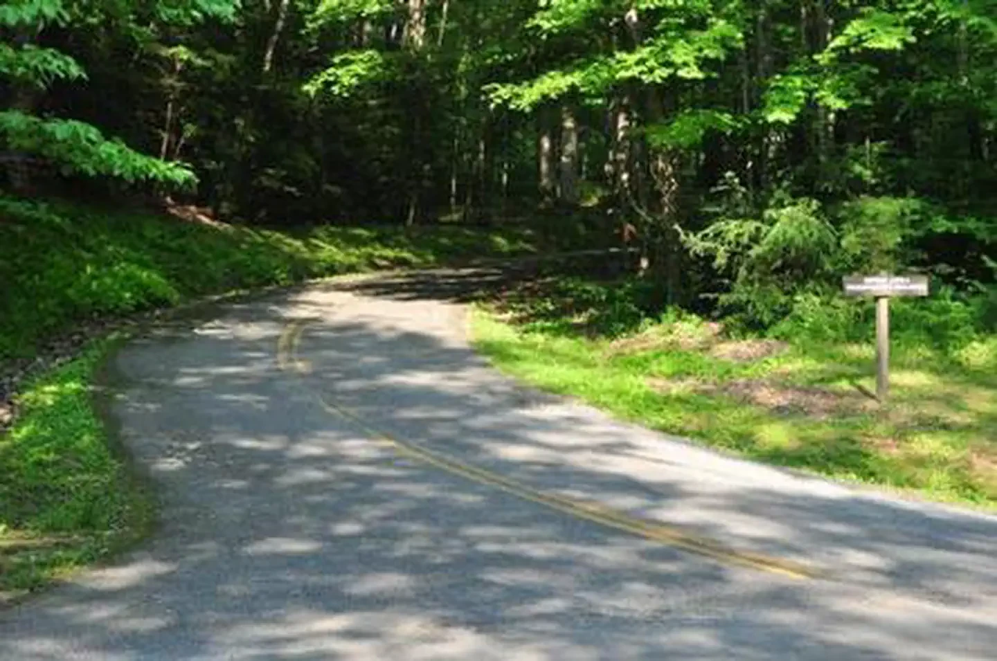 Elkmont Group Camp