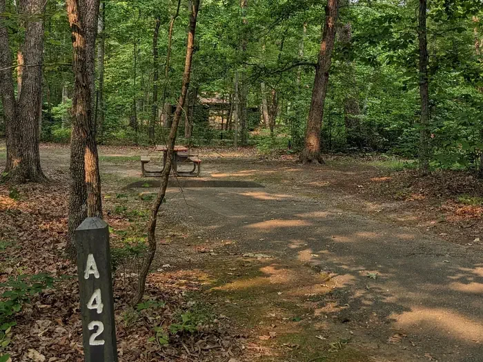 A42