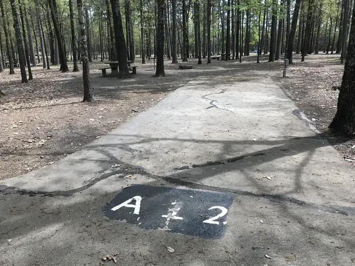 A12