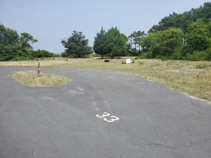 B33