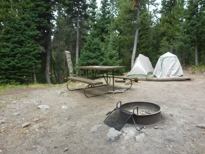 Lewis Lake site #9