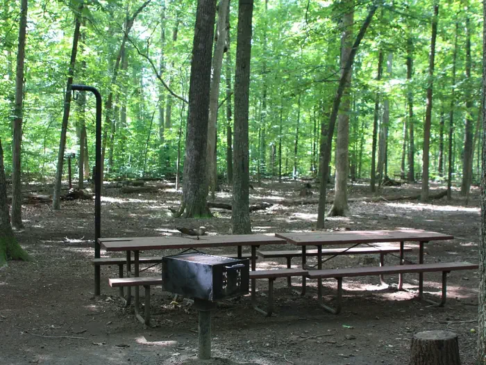 Marsden Tract Group Campsite