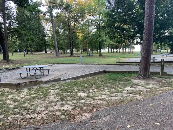 E101