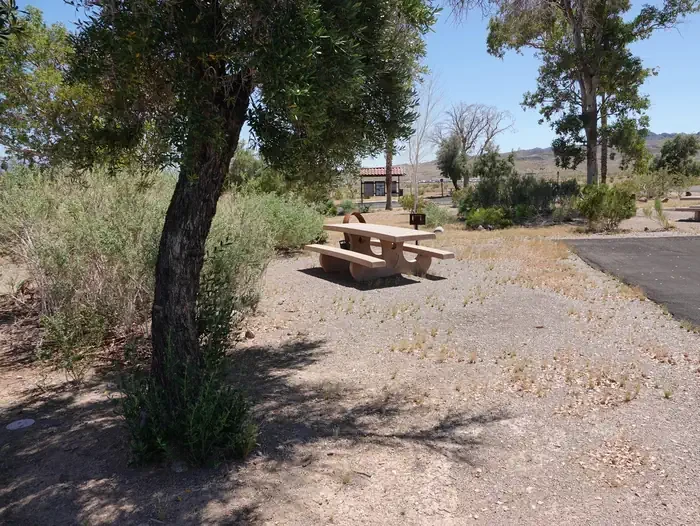 Site 81