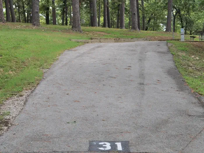 31