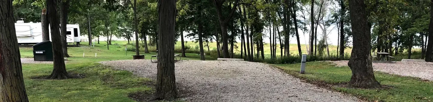 46