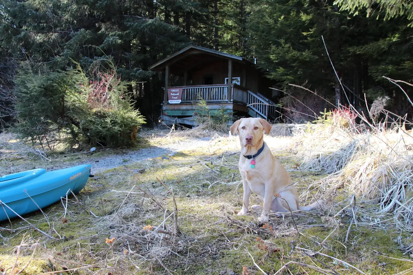 Spurt Cove Cabin