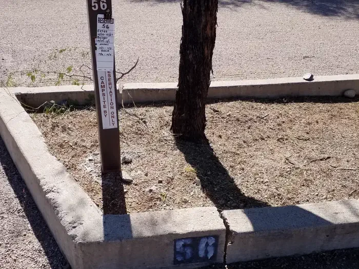 56