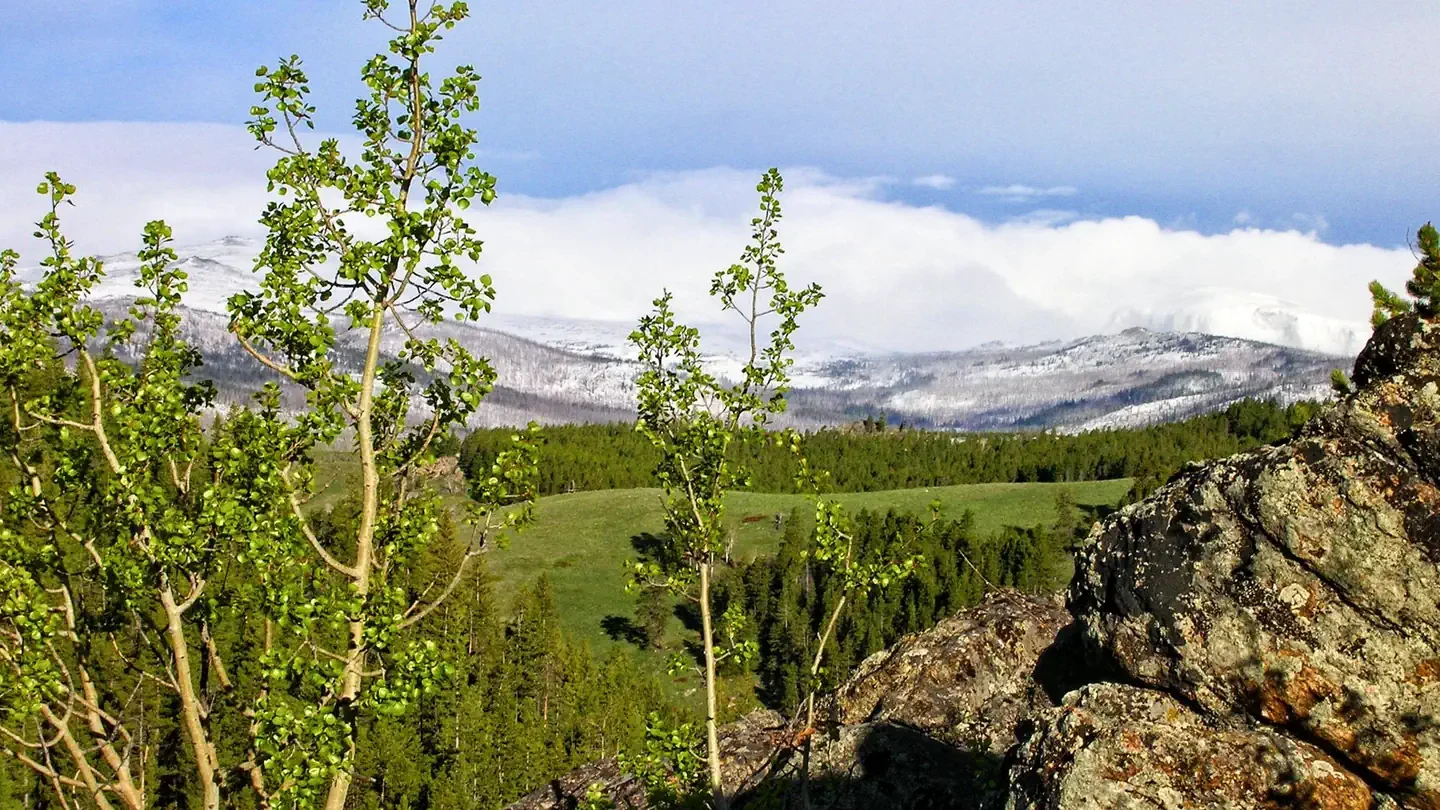 Middle Fork