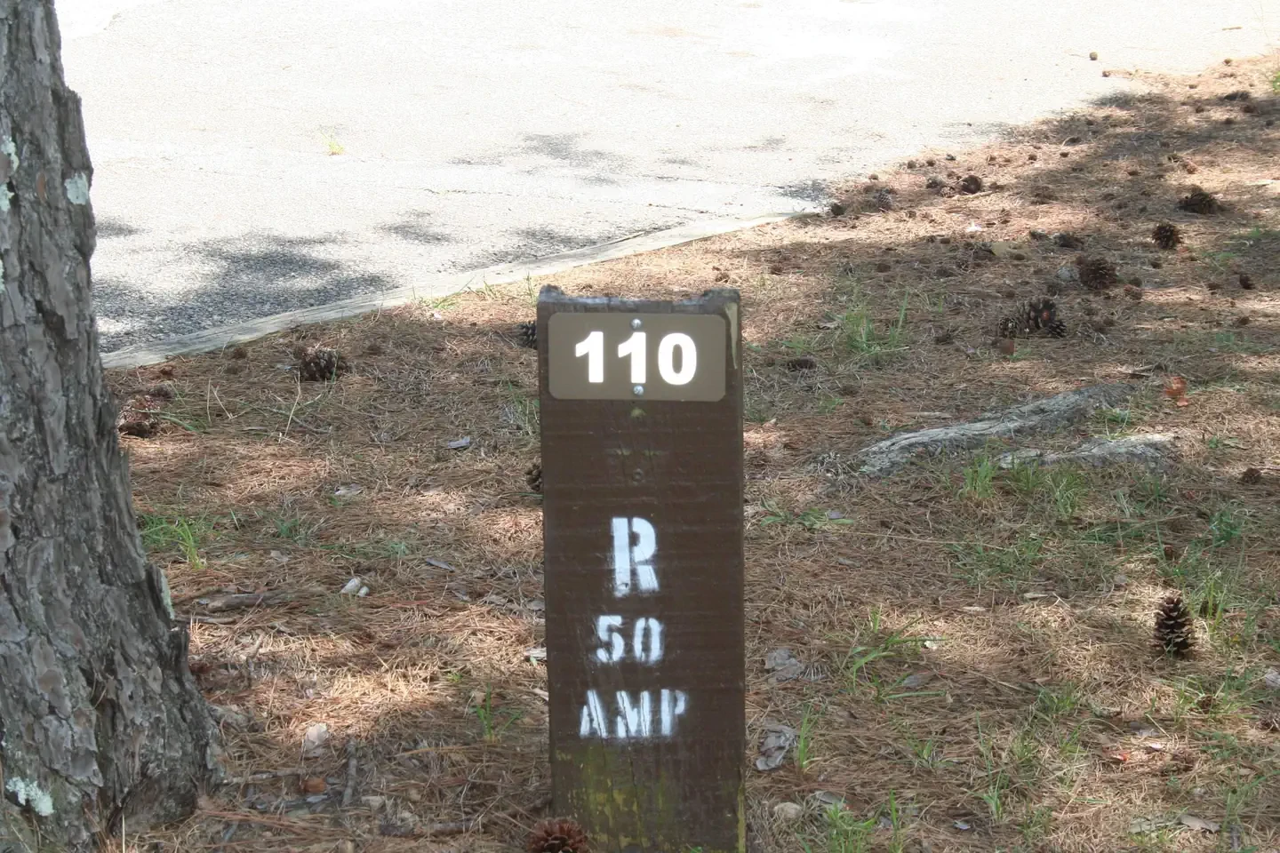 110