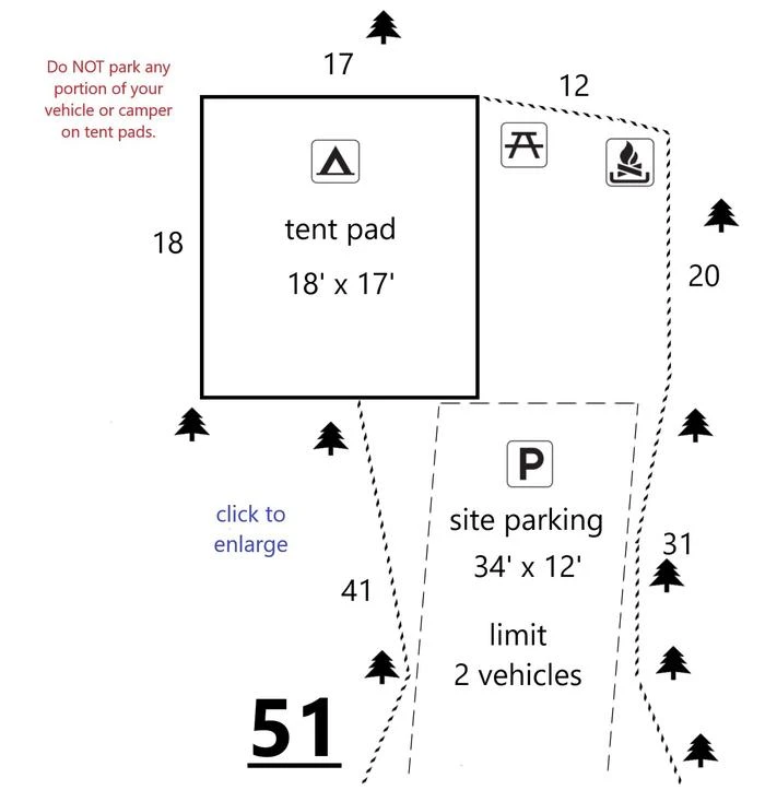 51