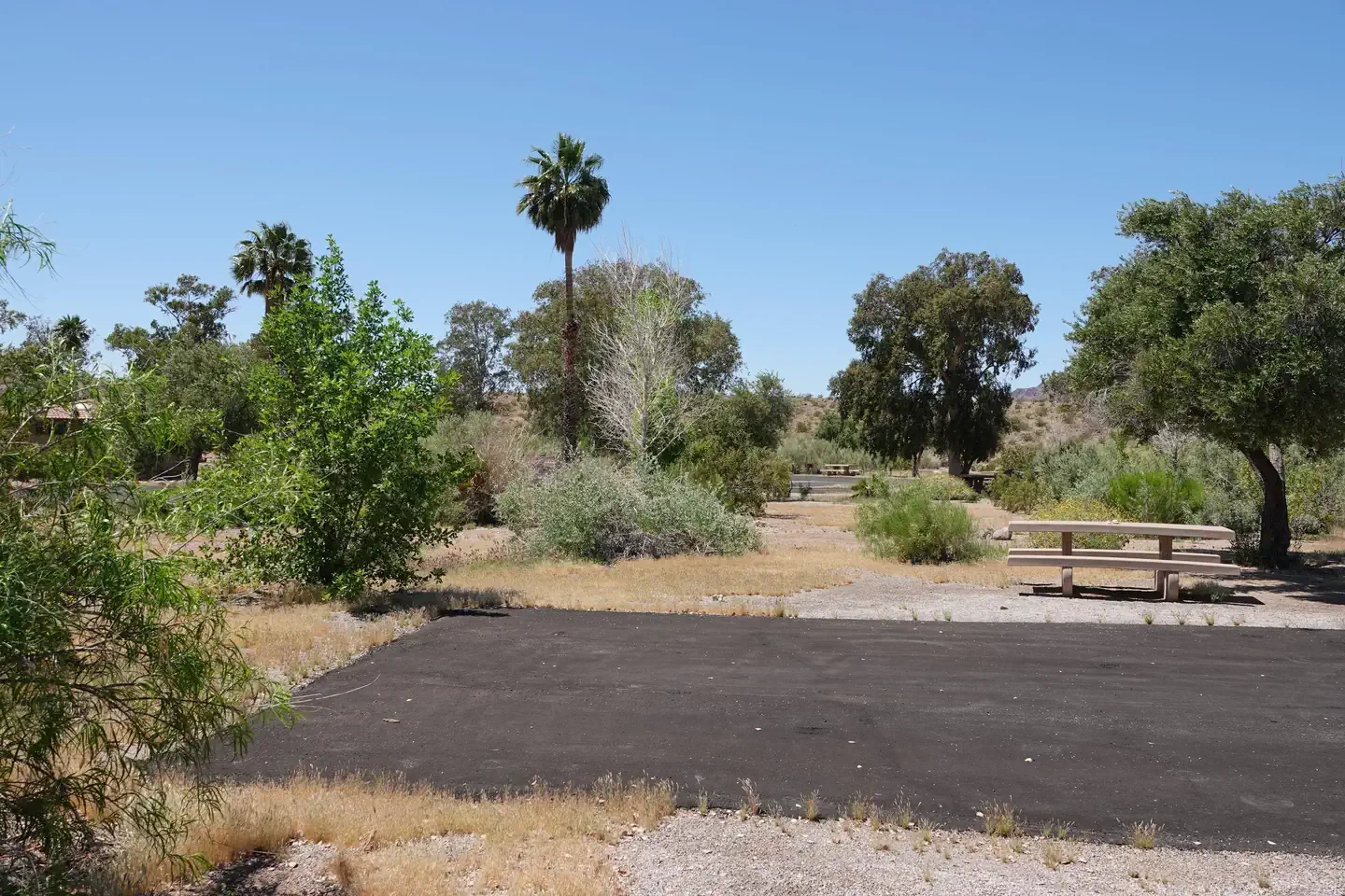 Site 63