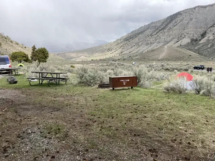 Mammoth site #29