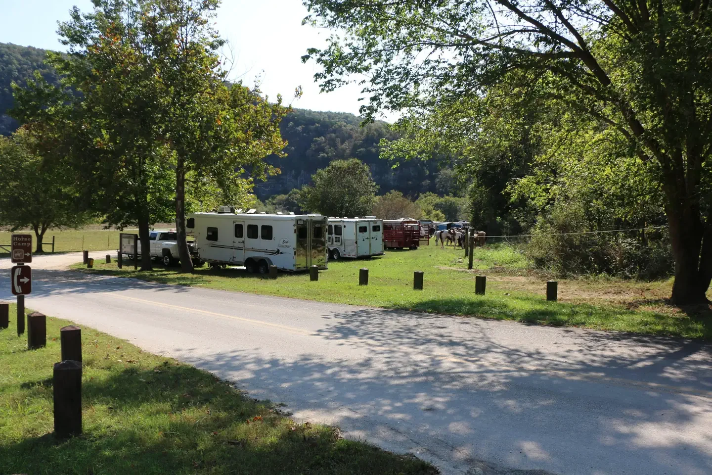 29 - Horse Site