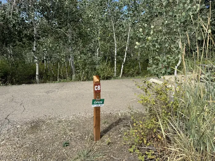 C08