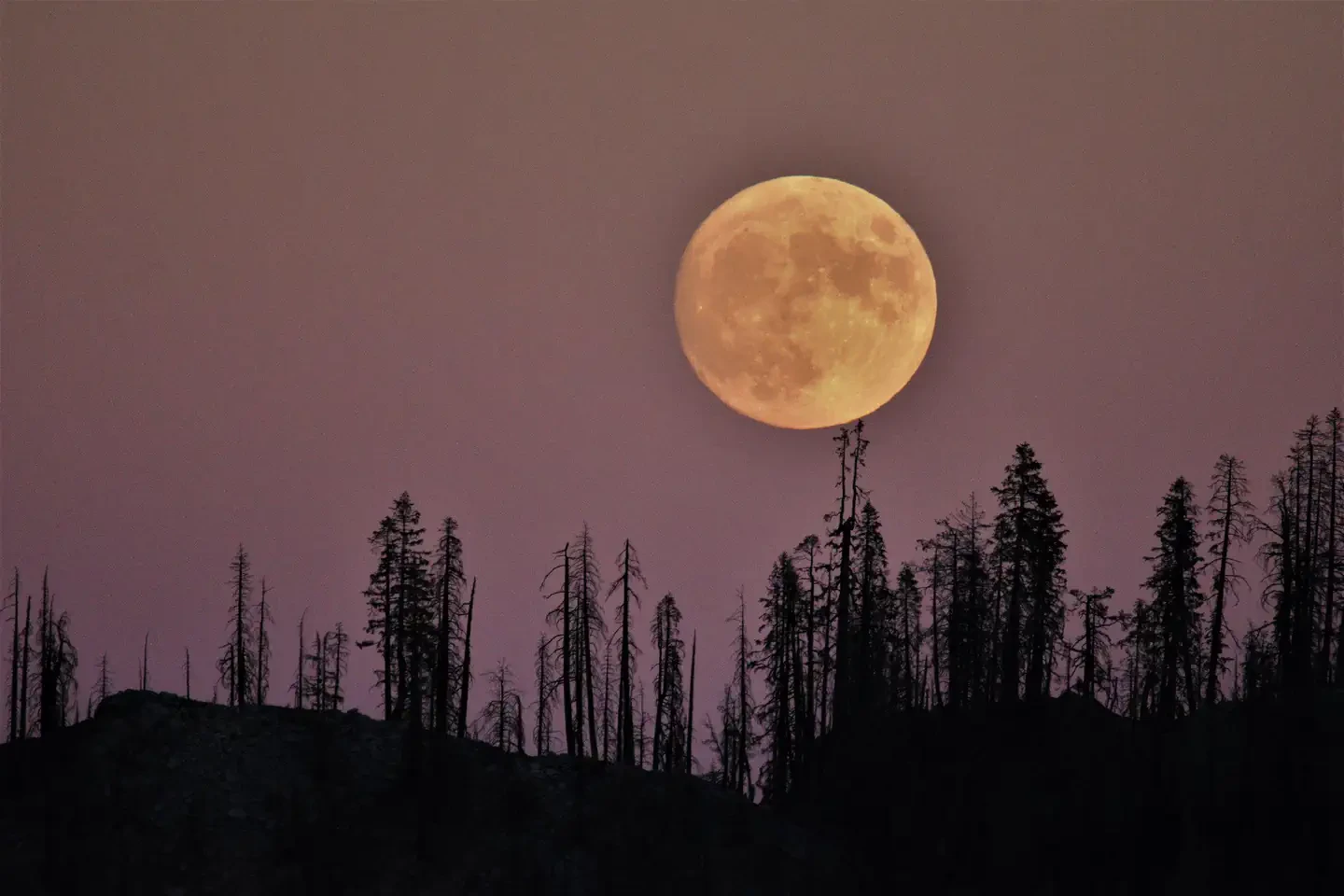 Lassen Volcanic National Park Wilderness Permits