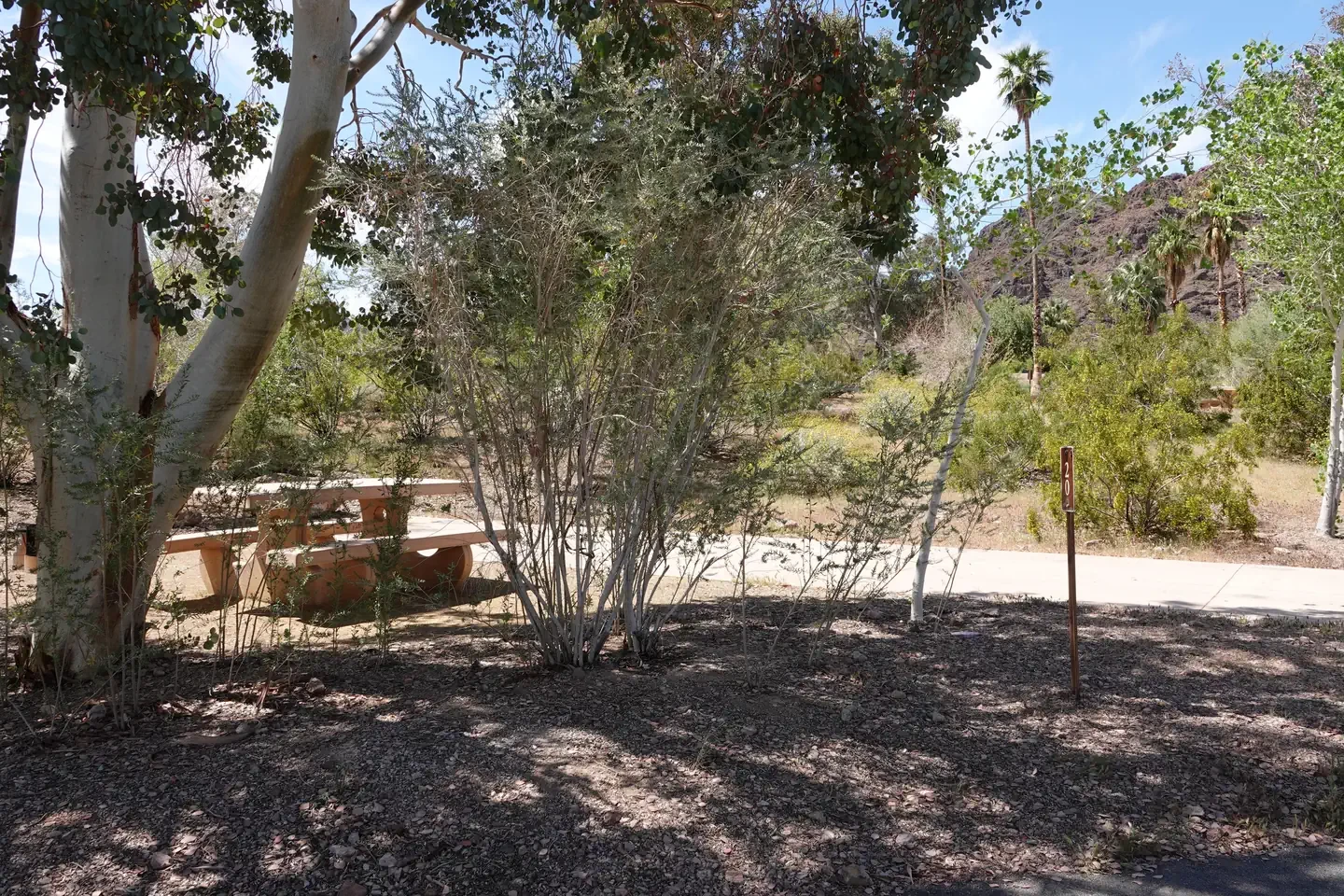 Site 20