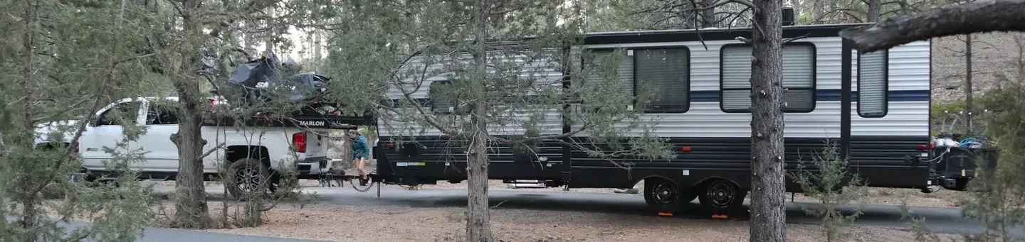 A223