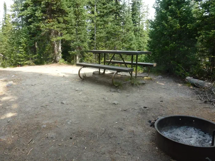 Lewis Lake site #45