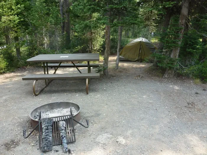 Lewis Lake site #42