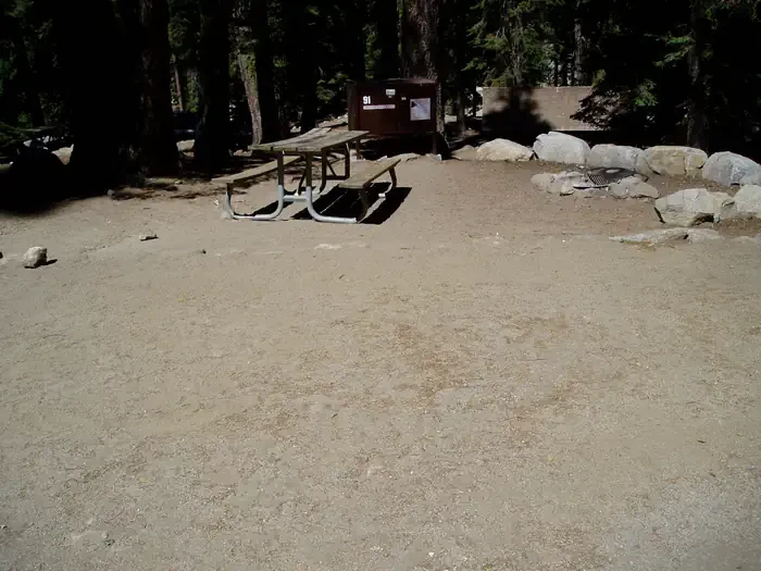 091