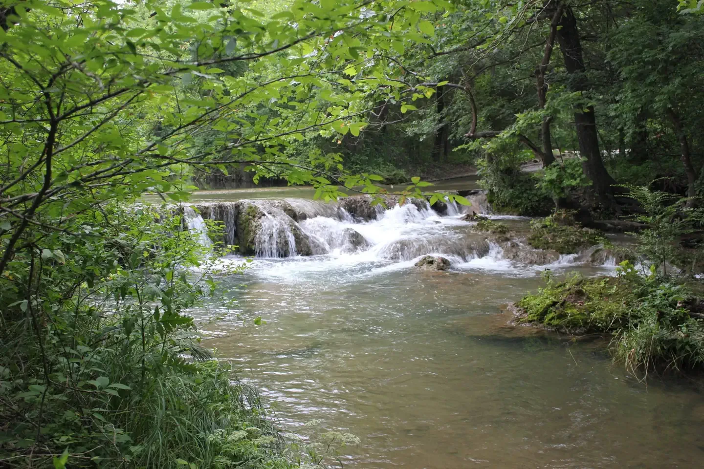 Cold Springs Campground (Chickasaw)