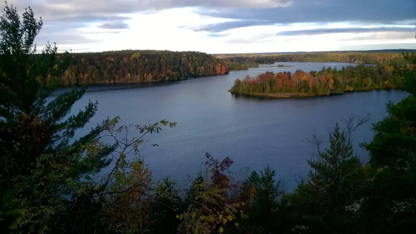 Huron-Manistee National Forests