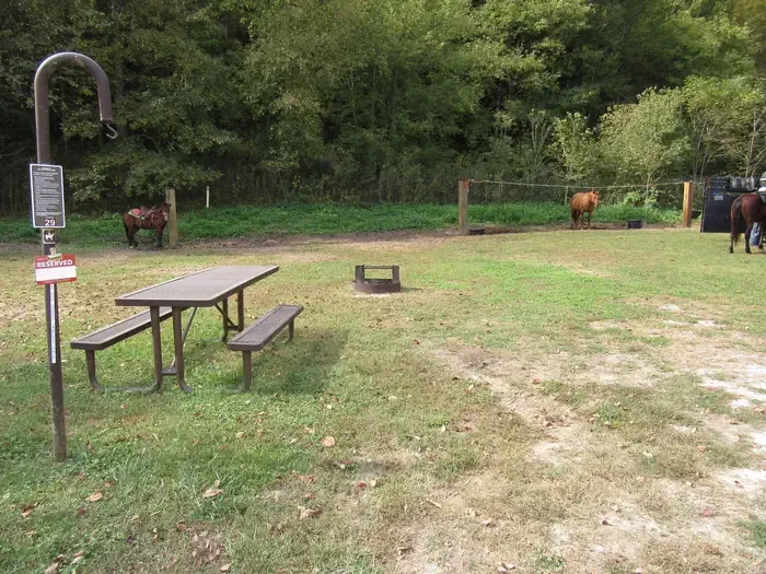 29 - Horse Site