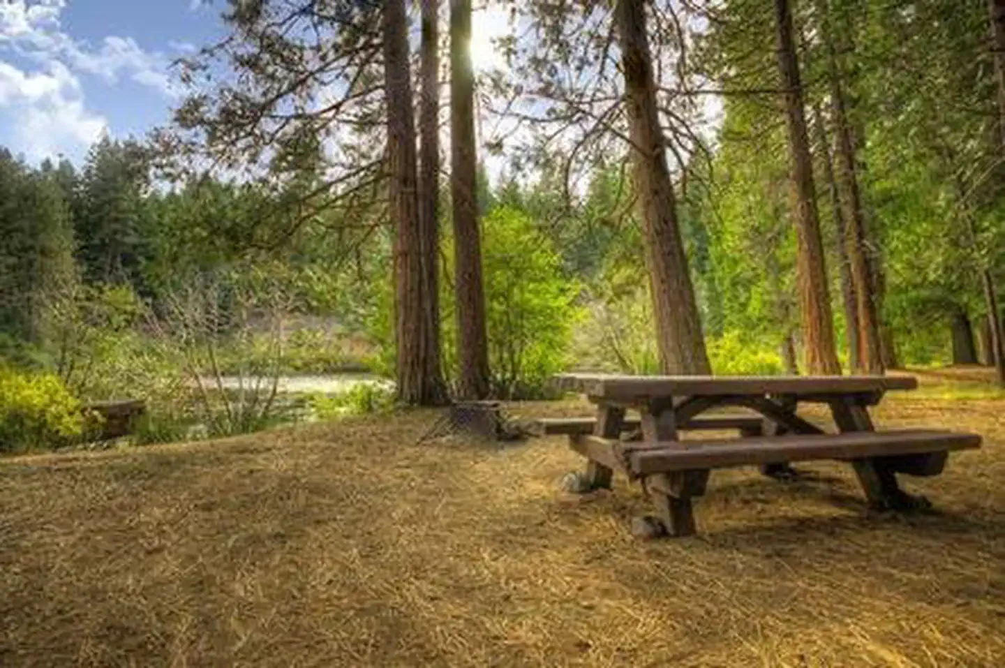 Lower Bridge Campground