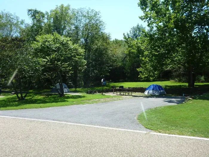 Site# 24