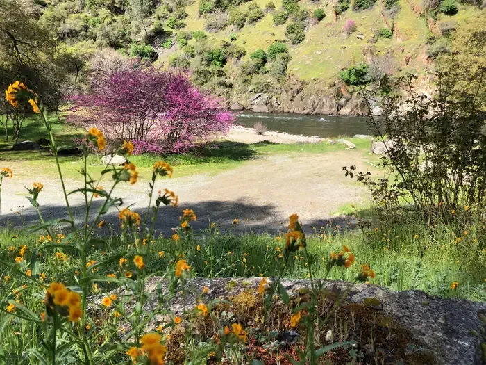 McCabe Flat Campground