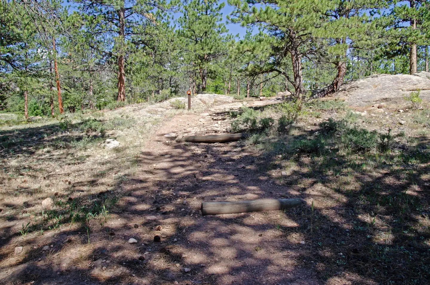 A029