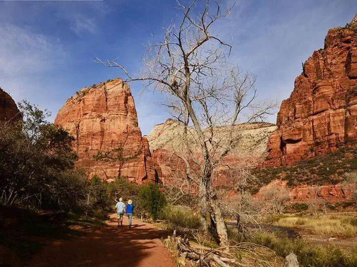 Angels Landing: Summer (Hikes on June 1 – August 31)