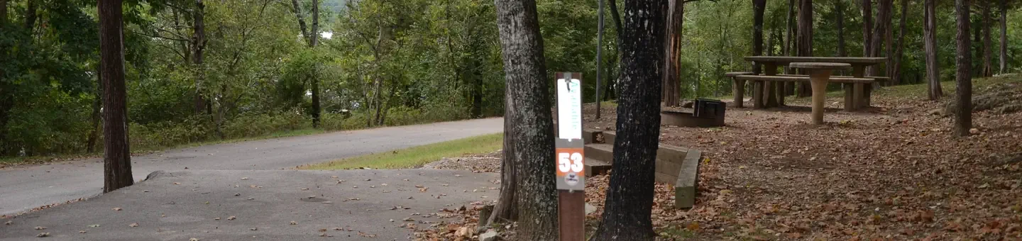53