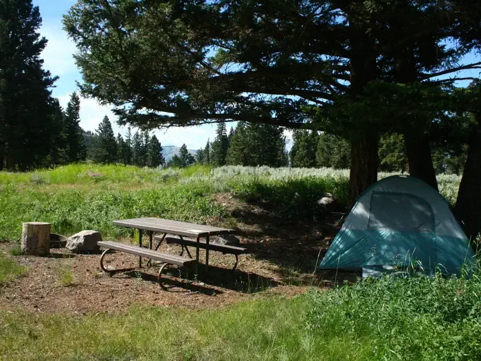 Slough Creek site #8