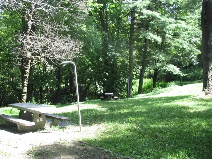 Group Site 2