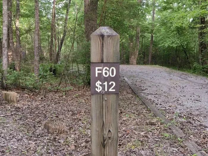 60