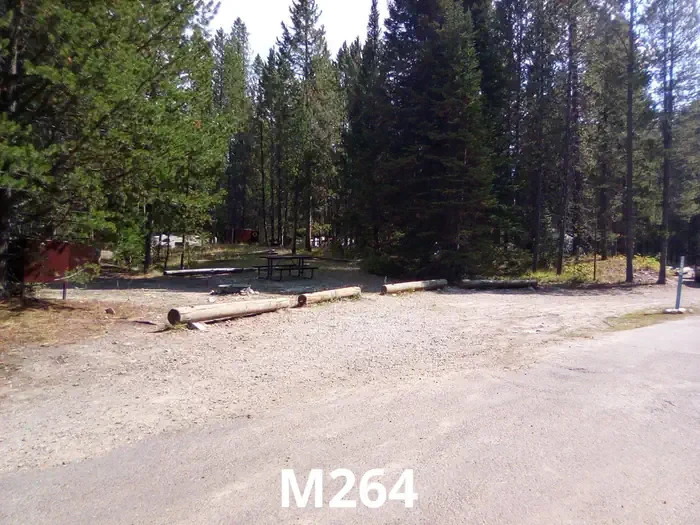 264
