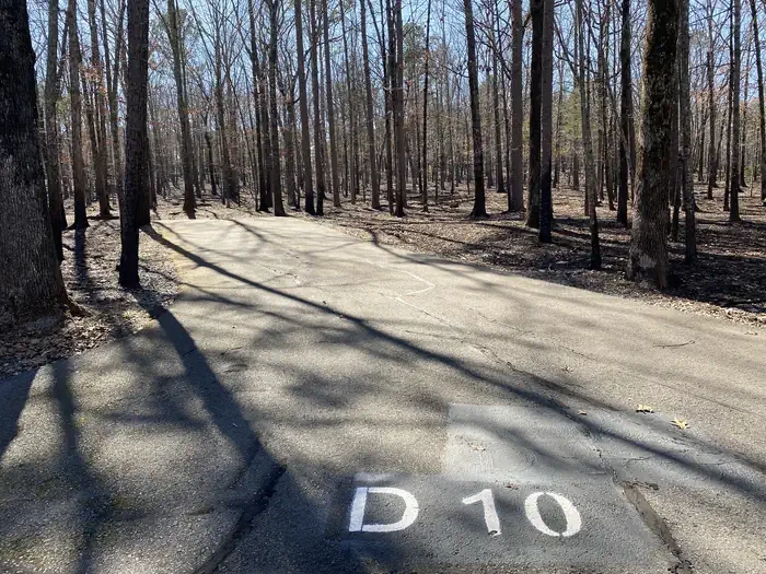 D10