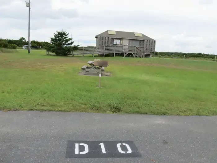 D010