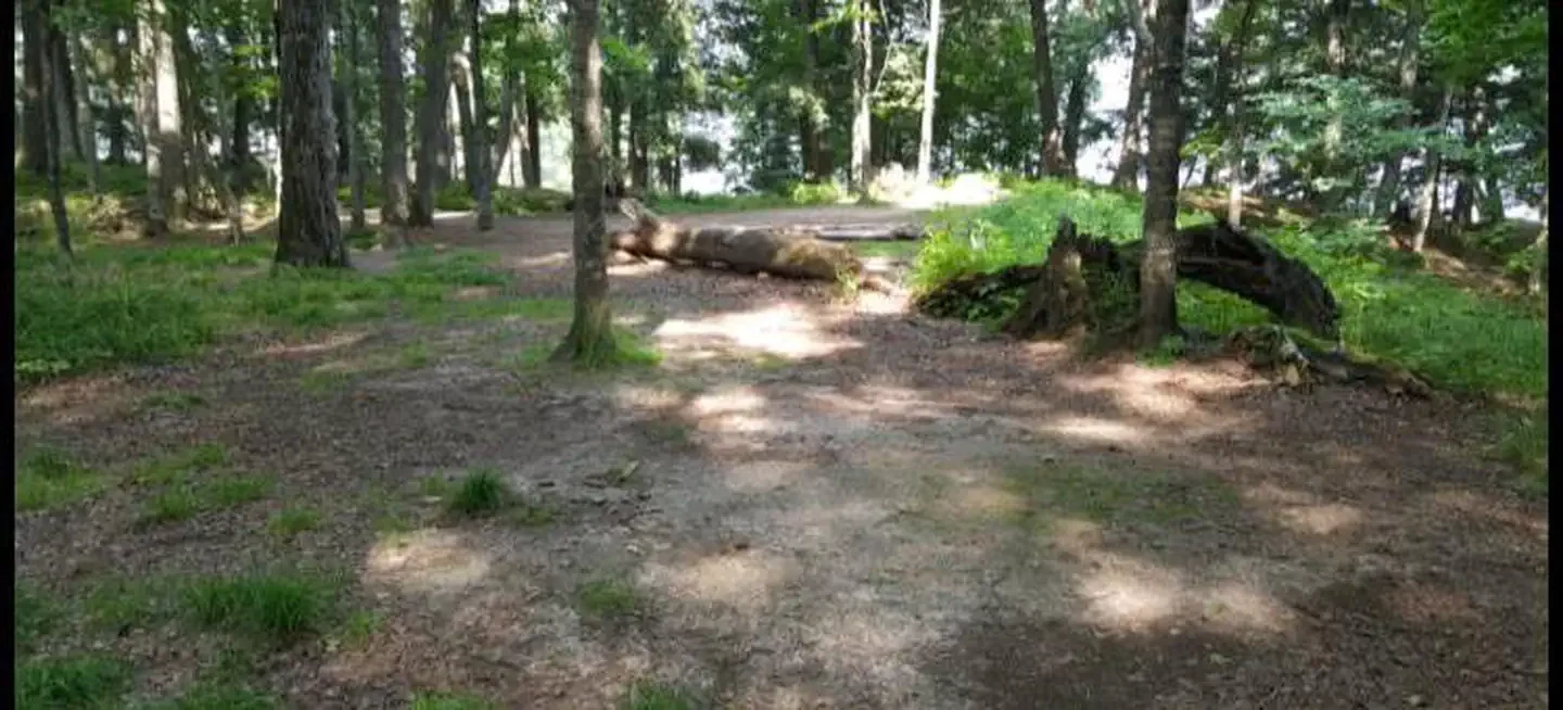 PORCUPINE-2